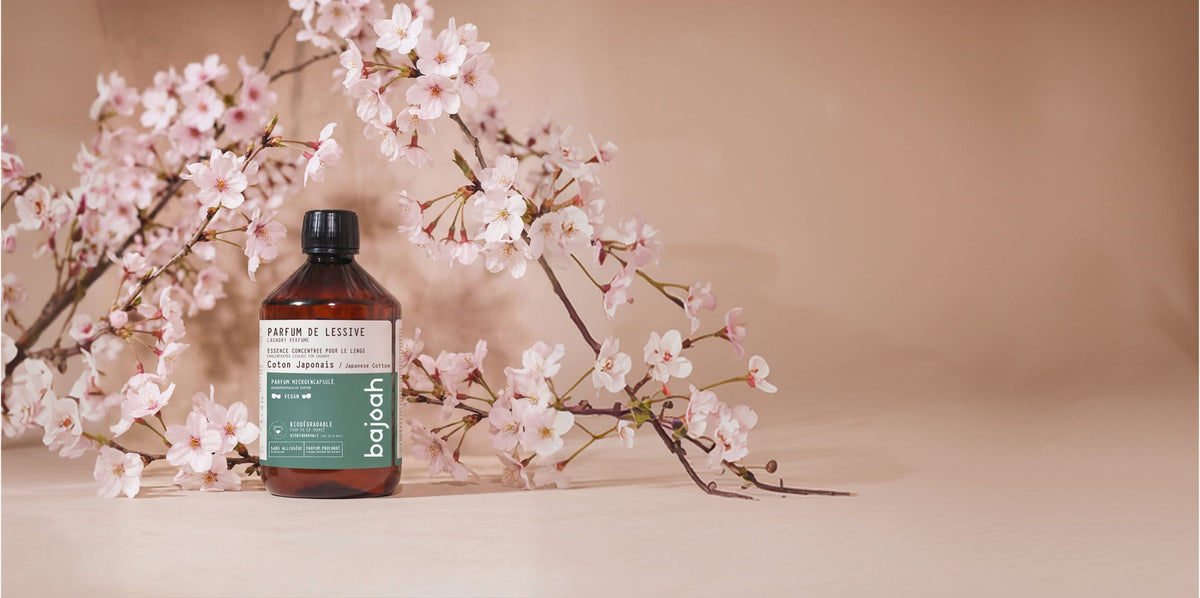 Parfum de lessive Coton Japonais – Bajoah