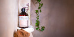 PARFUM DE LESSIVE - POUDRE D'ARGAN 6
